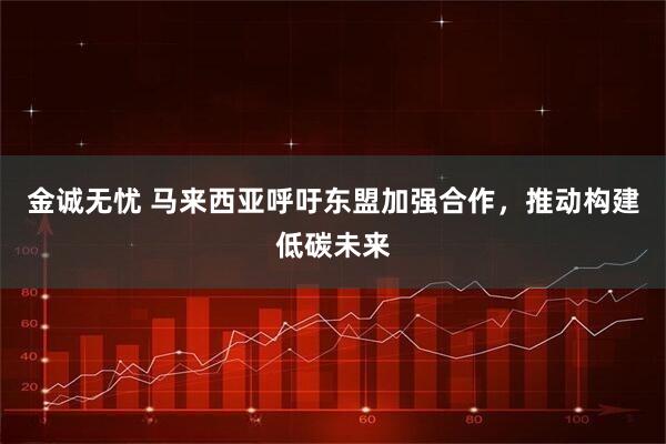 金诚无忧 马来西亚呼吁东盟加强合作，推动构建低碳未来