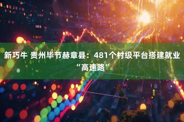 新巧牛 贵州毕节赫章县：481个村级平台搭建就业“高速路”