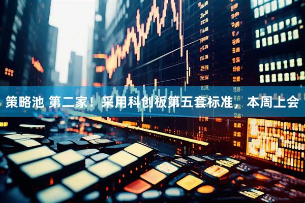 策略池 第二家！采用科创板第五套标准，本周上会
