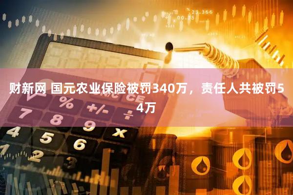 财新网 国元农业保险被罚340万，责任人共被罚54万