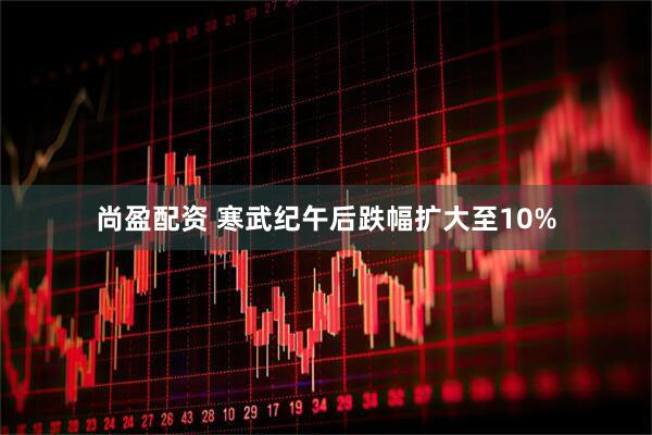 尚盈配资 寒武纪午后跌幅扩大至10%