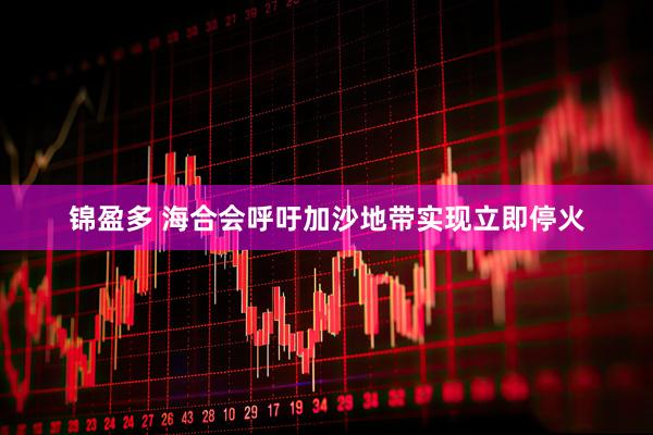 锦盈多 海合会呼吁加沙地带实现立即停火