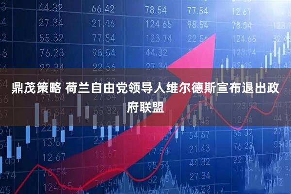 鼎茂策略 荷兰自由党领导人维尔德斯宣布退出政府联盟