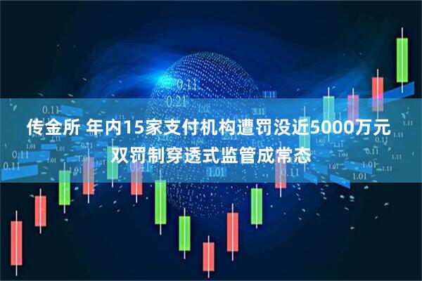 传金所 年内15家支付机构遭罚没近5000万元 双罚制穿透式监管成常态
