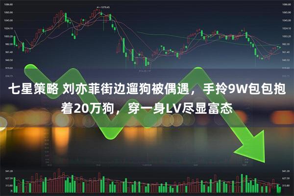 七星策略 刘亦菲街边遛狗被偶遇,手拎9W包包抱着20万狗,穿一身LV尽显富态