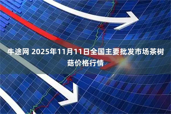 牛途网 2025年11月11日全国主要批发市场茶树菇价格行情
