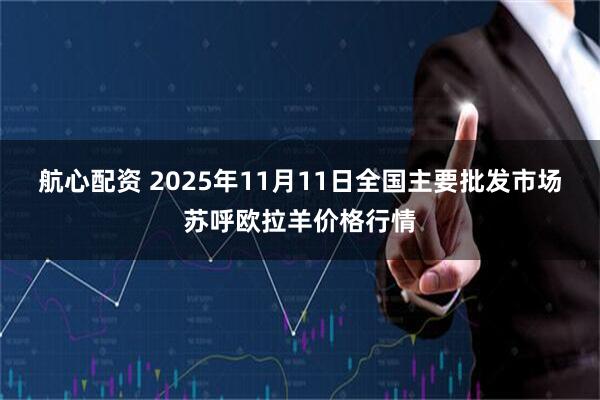 航心配资 2025年11月11日全国主要批发市场苏呼欧拉羊价格行情