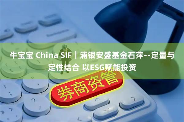 牛宝宝 China SIF|浦银安盛基金石萍--定量与定性结合 以ESG赋能投资