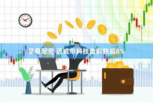 至尊配资 迈威尔科技盘前跌超8%